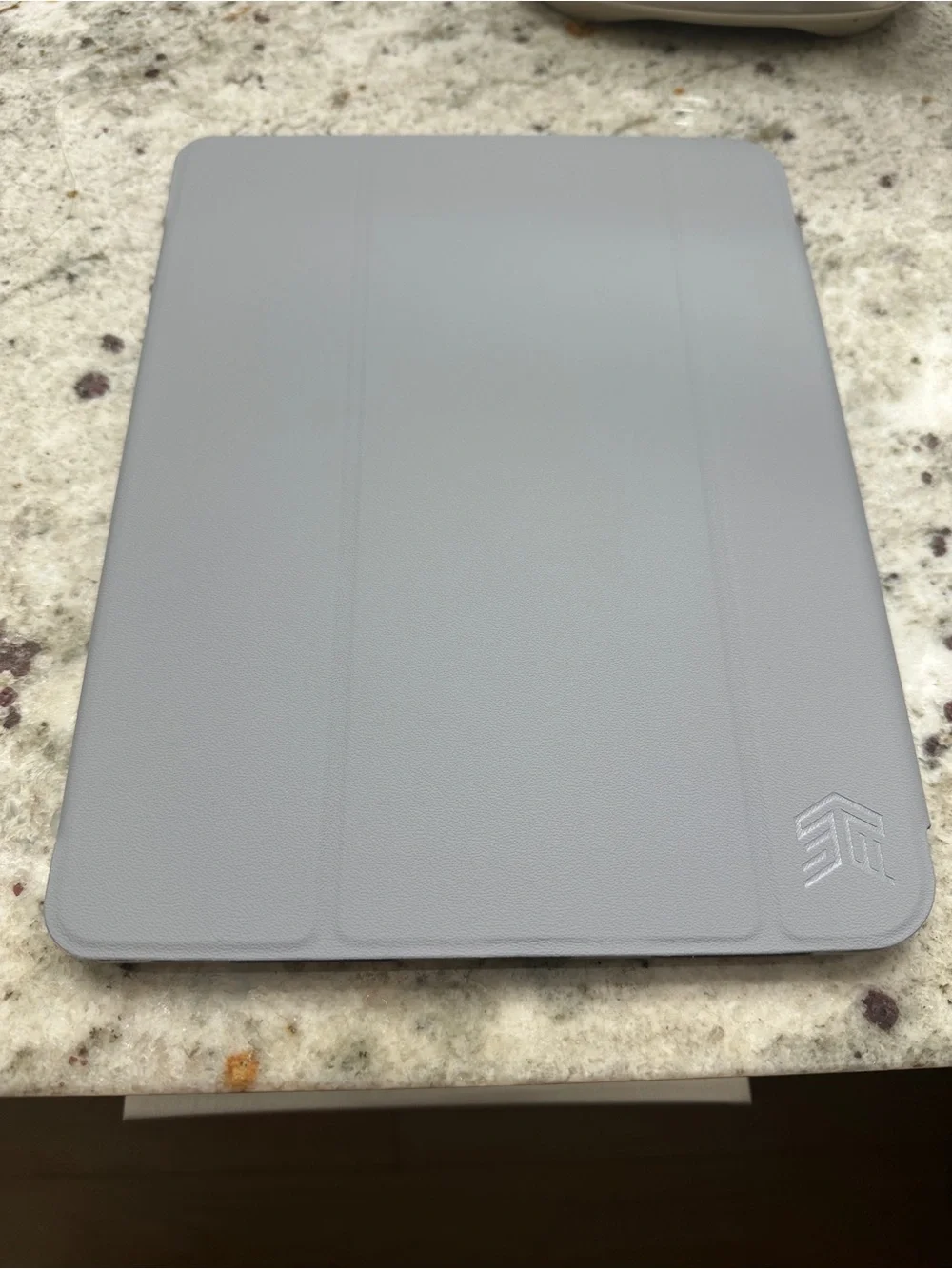 Studio Case for iPad (10th Generation) — Clear/Gray